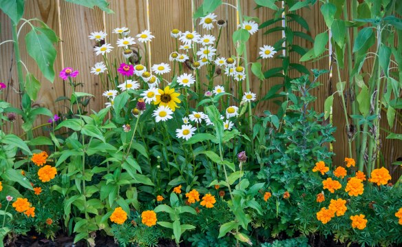 Lin and Michael's Photos