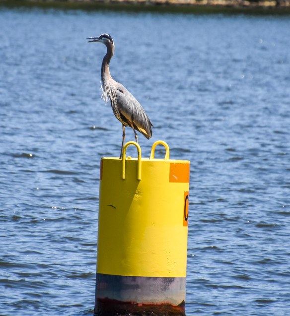 Lin and Michael's Photos