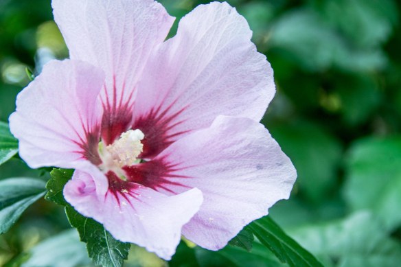 Lin and Michael's Photos