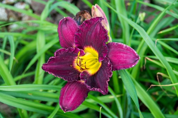 Lin and Michael's Photos