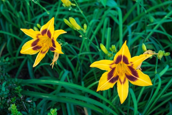 Lin and Michael's Photos