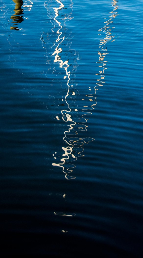 Lin and Michael's Photos