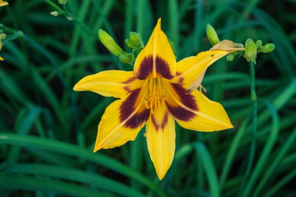 Lin and Michael's Photos