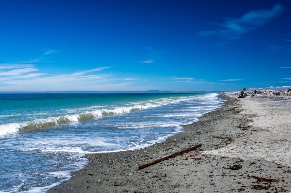 Lin and Michael's Photos