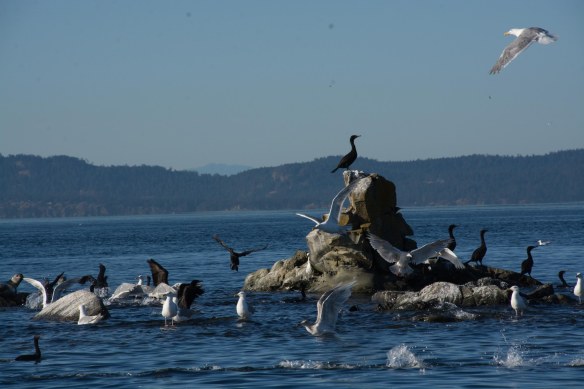 Lin and Michael's Photos