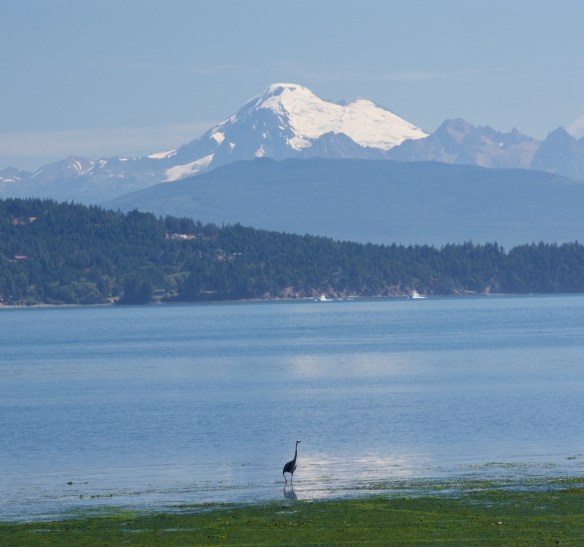 Lin and Michael's Photos