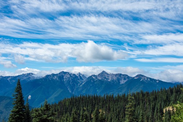 Lin and Michael's Photos