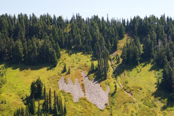 Lin and Michael's Photos