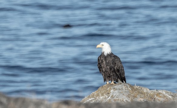 Lin and Michael's Photos