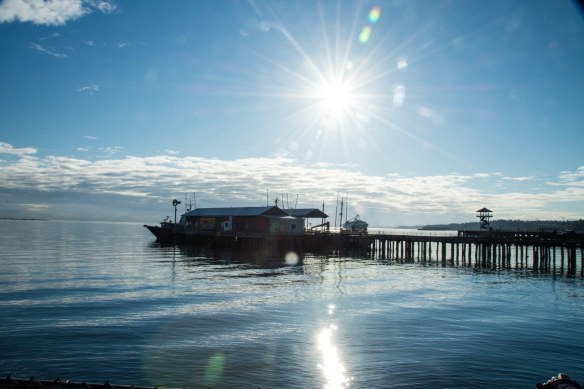 Lin and Michael's Photos