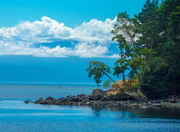 East Sookie Park coastline