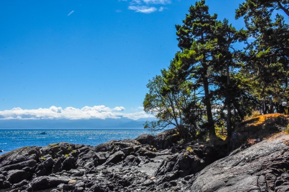 East Sookie Park coastline2