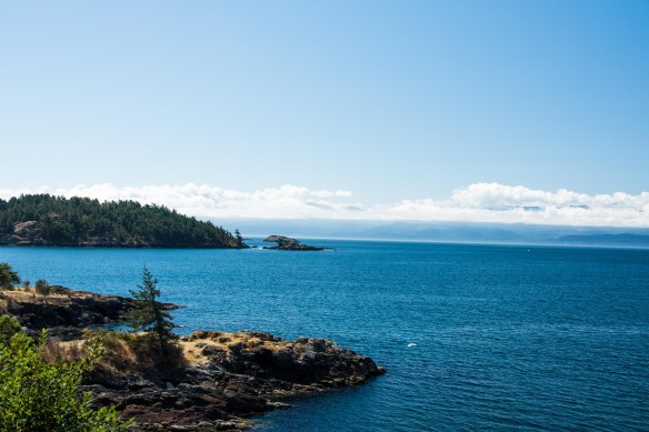 Lin and Michael's Photos