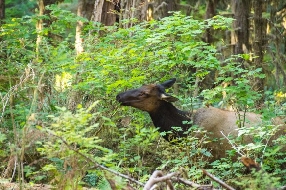 Lin and Michael's Photos