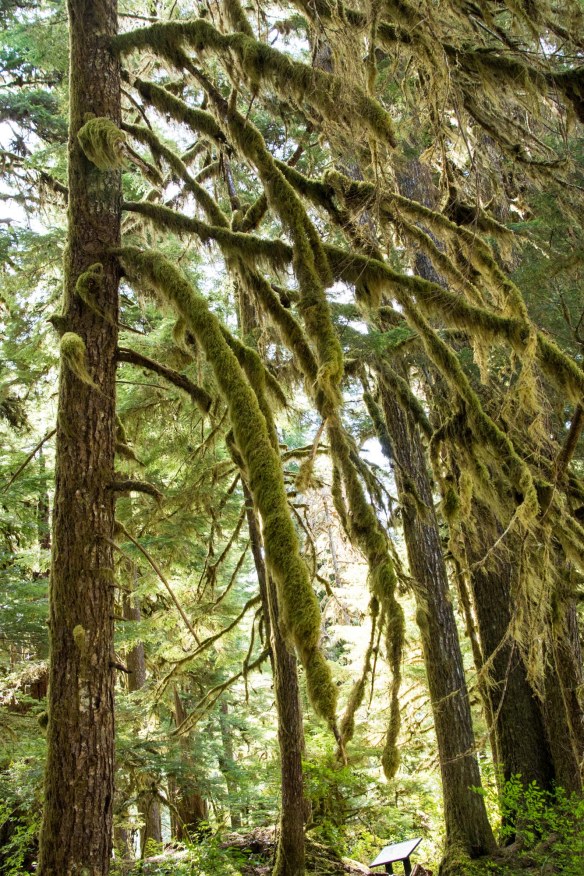 Lin and Michael's Photos