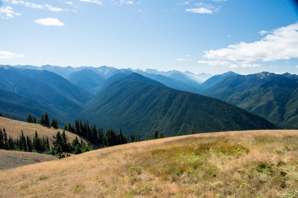View from Hurricane Ridge