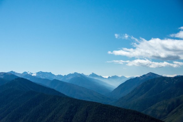 Lin and Michael's Photos