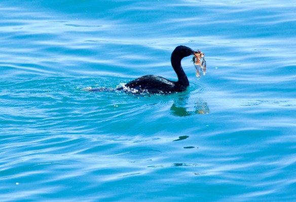 Lin and Michael's Photos