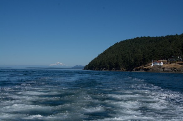 Lin and Michael's Photos