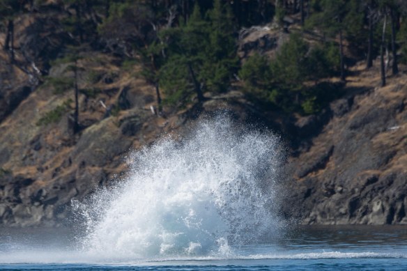 Lin and Michael's Photos