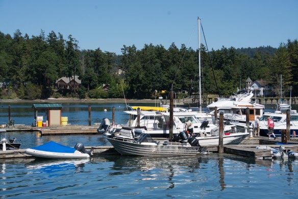 Lin and Michael's Photos