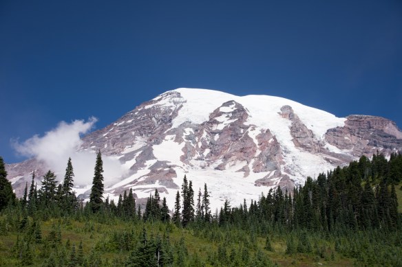 Linn and Michael's Photos