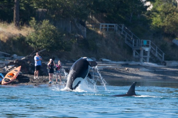 Lin and Michael's Photos