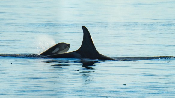 Lin and Michael's Photos