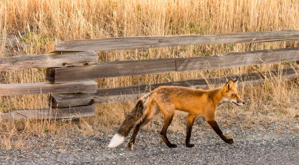 Lin and Michael's Photos