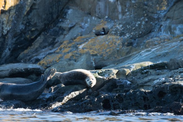 Lin and Michael's Photos