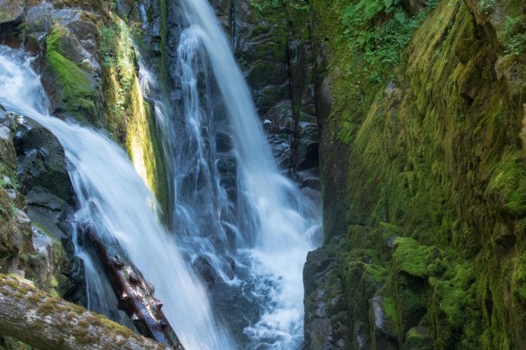 Lin and Michael's Photos