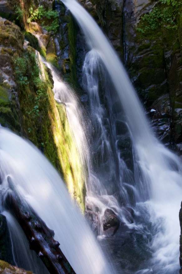 Lin and Michael's Photos