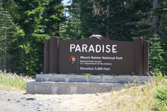 Lin and Michael's Photos