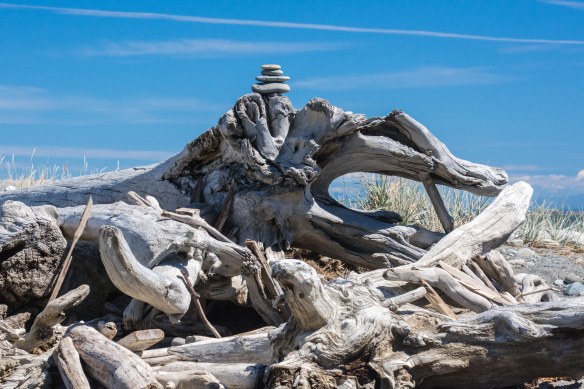 Lin and Michael's Photos