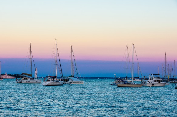 Lin and Michael's Photos