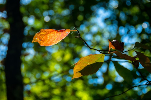 Lin and Michael's Photos