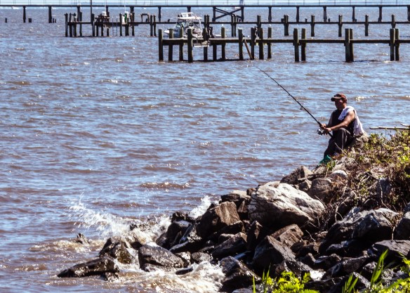 Lin and Michael's Photos