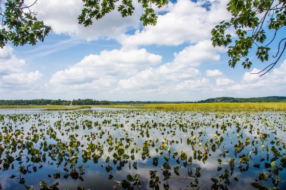 Lin and Michael's Photos