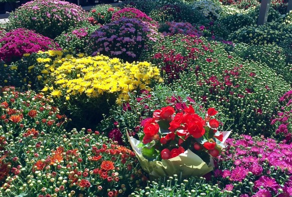 Lin and Michael's Photos