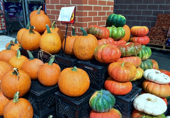 Lin and Michel's Photos