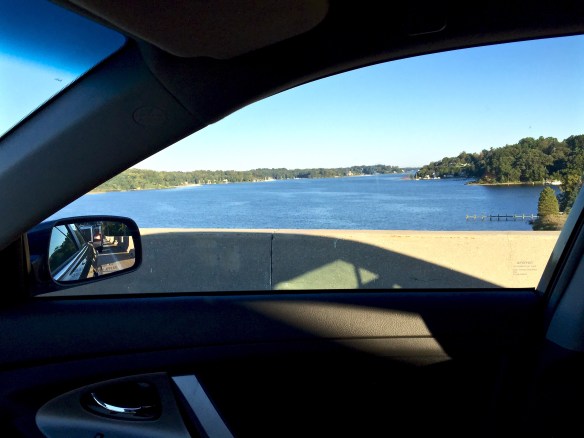 Lin and Michael's Photos