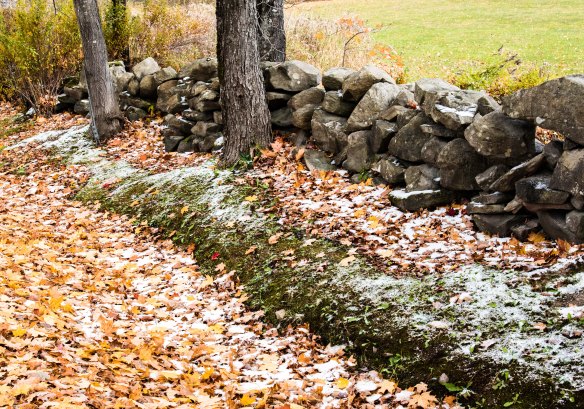 Lin and Michael's Photos