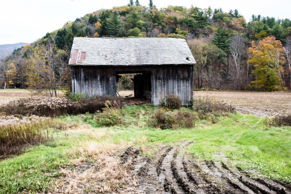 Lin and Michael's Photos