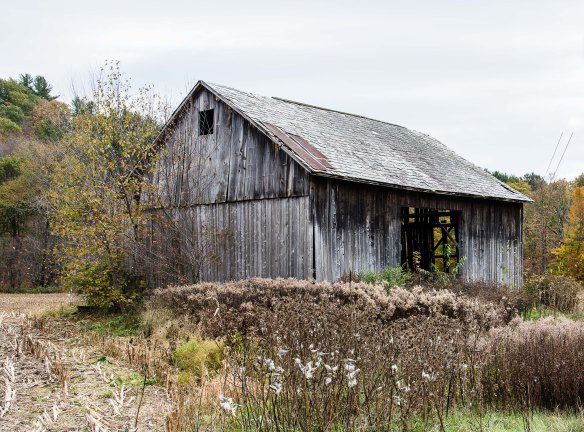 Lin and Michael's Photos