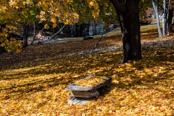 Lin and Michael's Photos