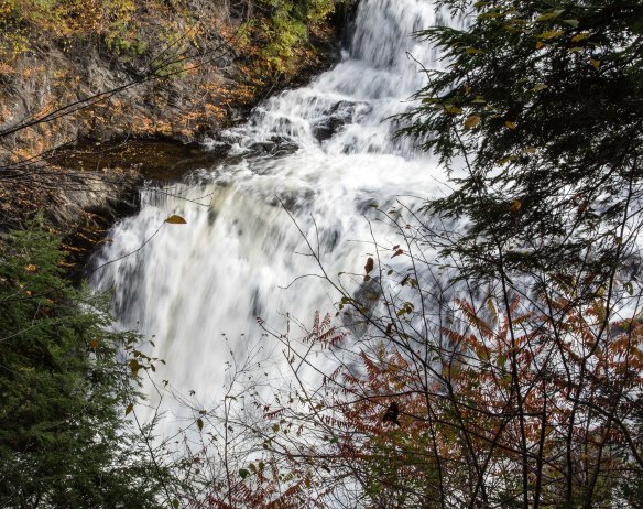 Lin and Michael's Photos