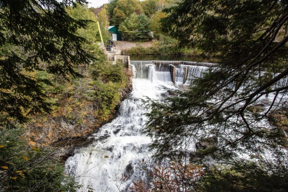 Lin and Michael's Photos