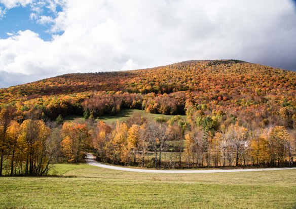 Lin and Michael's Photos