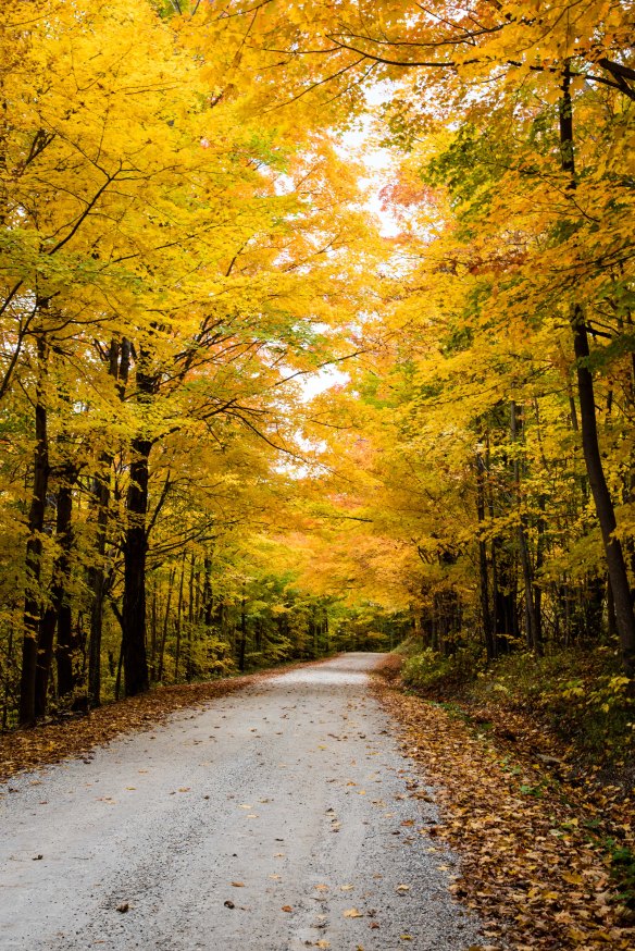 Lin and Michael's Photos