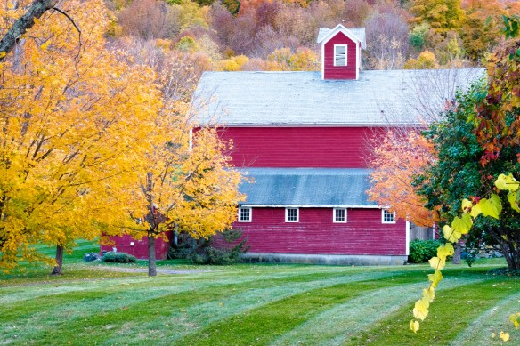 Lin and Michael's Photos